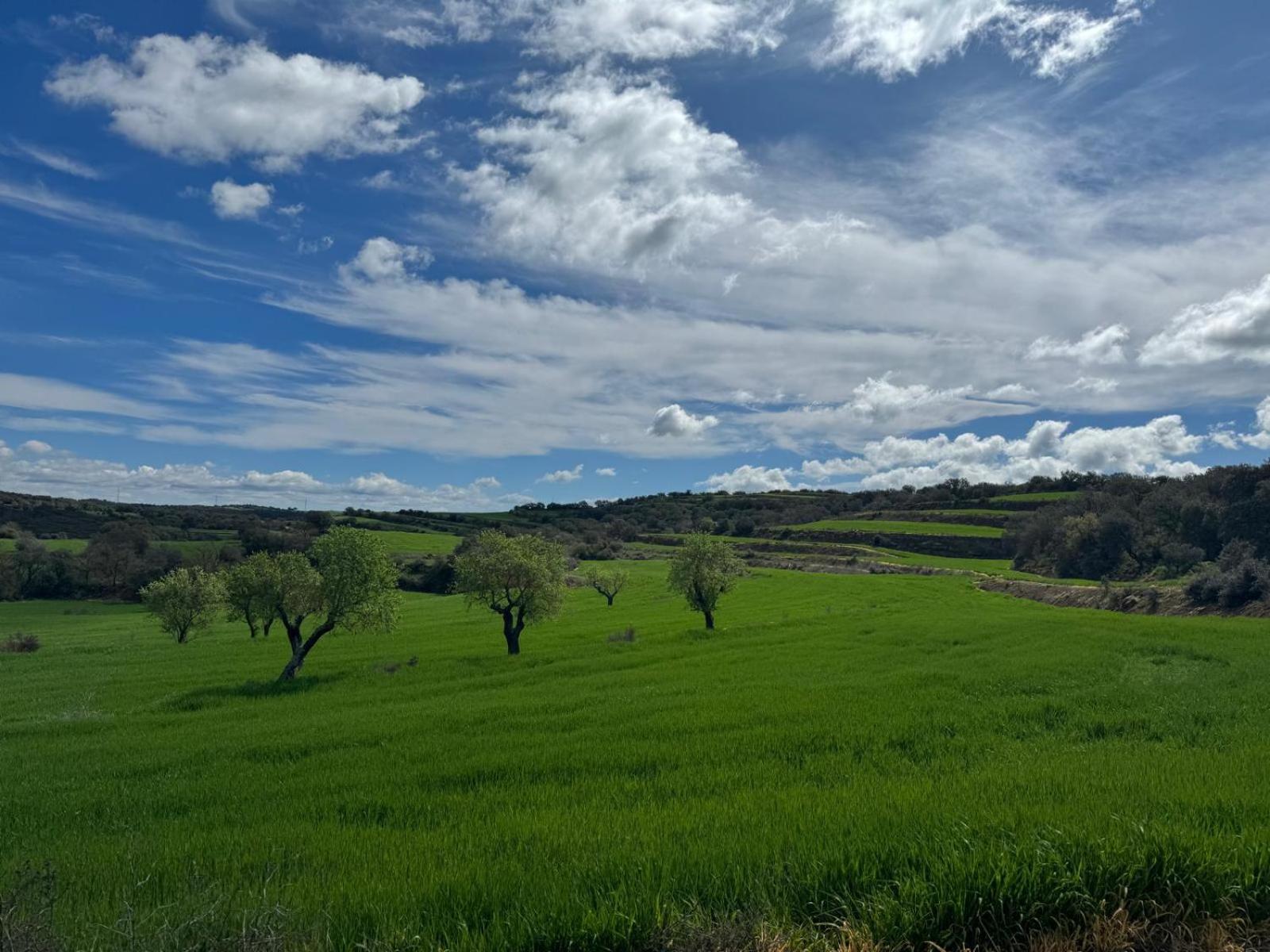 Masia De Queralt Luxury Casa Rural Spa Y Vistas Concabella Luaran gambar